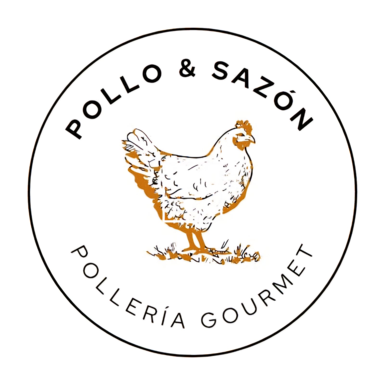 pollo